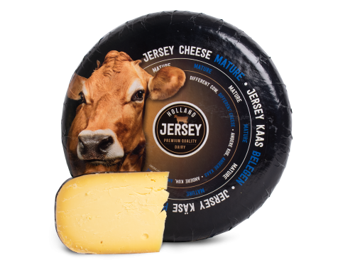 Holland Jersey cheese Mature