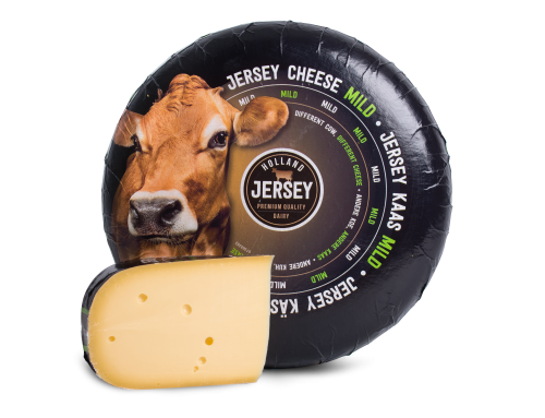 Holland Jersey cheese Mild