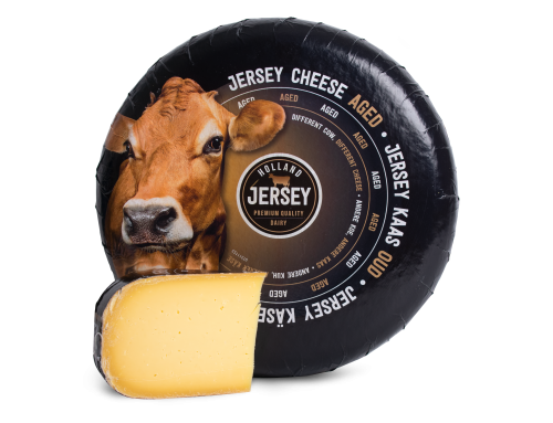 Holland Jersey cheese Aged